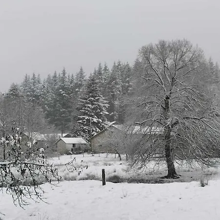 Forest-edge Stay, Burtonville