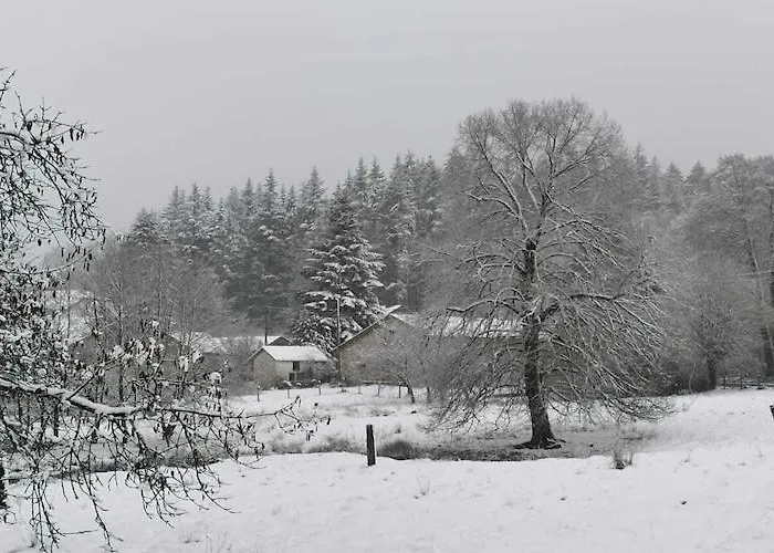 Forest-edge Stay, Burtonville