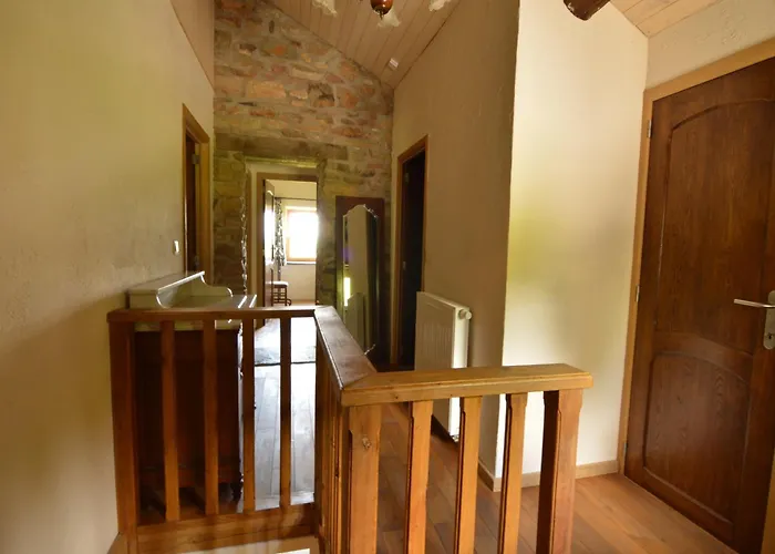 Forest-edge Stay, Burtonville