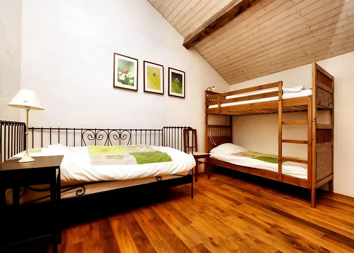Forest-edge Stay,